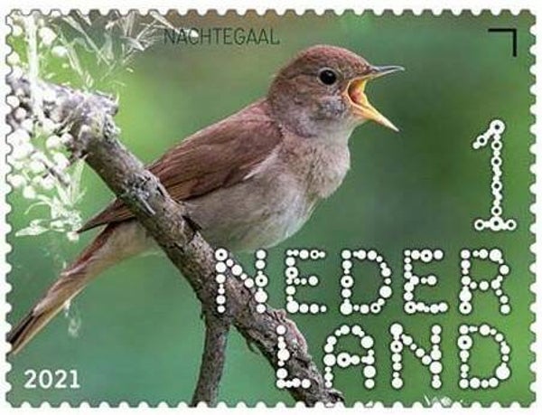 2106 Birds 2021 Netherlands Flycatchers (Luscinia megarhynchos) Common Nightingale stamp