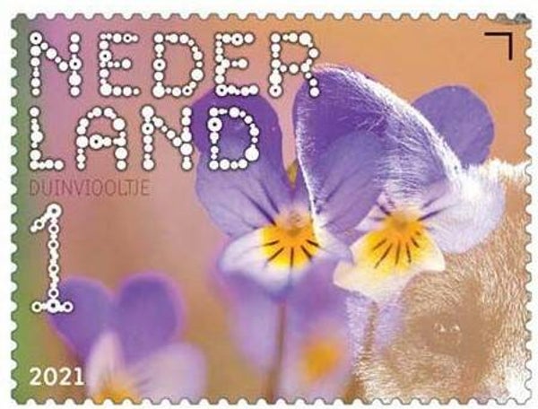 2106 Flowers 2021 Netherlands (Viola tricolor) Heartsease stamp