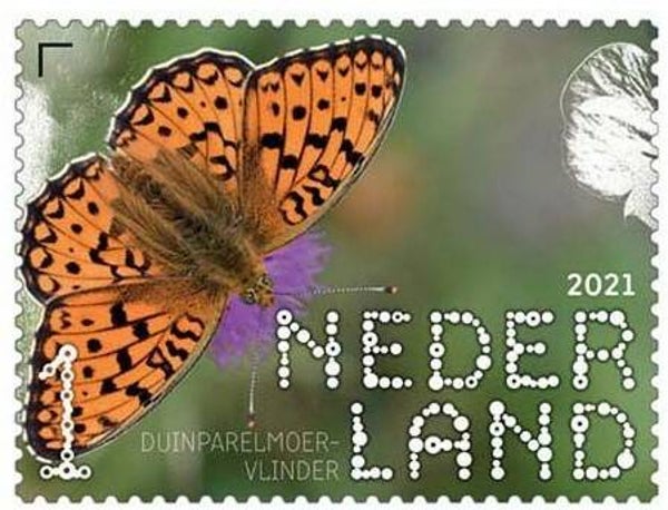 2106 Insects 2021 Netherlands Butterflies (Fabriciana niobe) Niobe Fritillary stamp