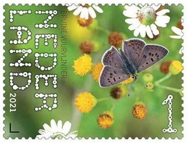 2106 Insects 2021 Netherlands Butterflies (Lycaena tityrus) Sooty Copper stamp
