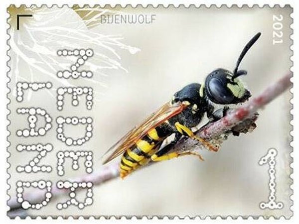 2106 Insects 2021 Netherlands Wasps (Philanthus triangulum) European Beewolf stamp
