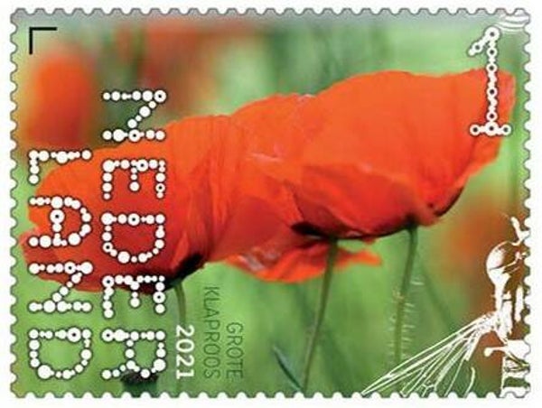 2106 Plants 2021 Netherlands (Papaver rhoeas) Common Poppy stamp