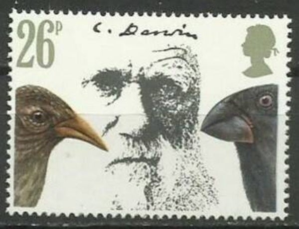 Birds 1982 Great Britain stamp 2