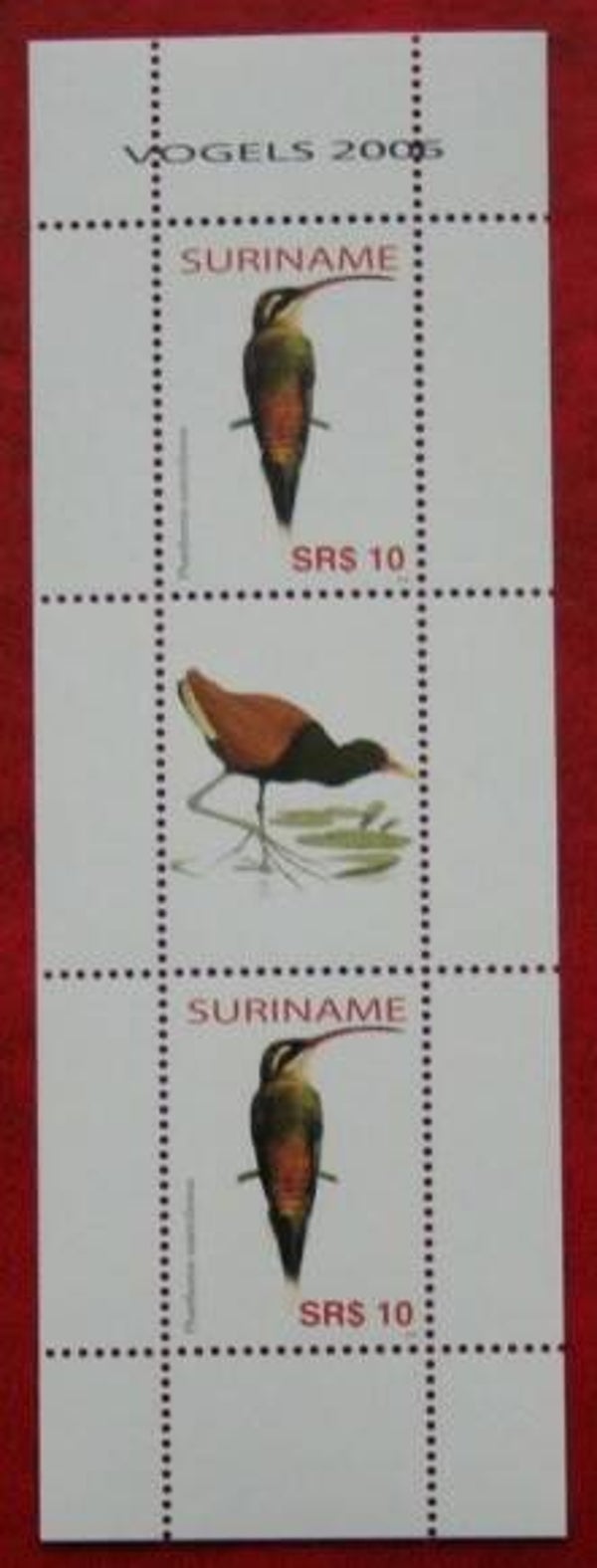 Birds 2006 Surinam miniature sheet