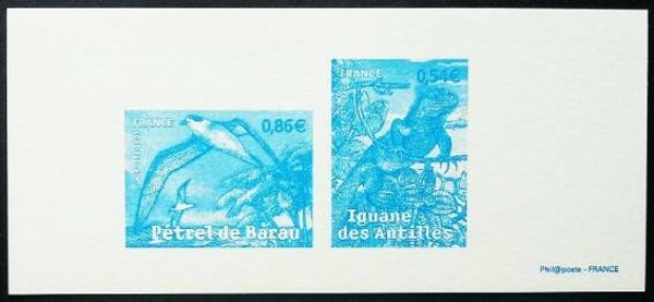 Birds 2007 France proof