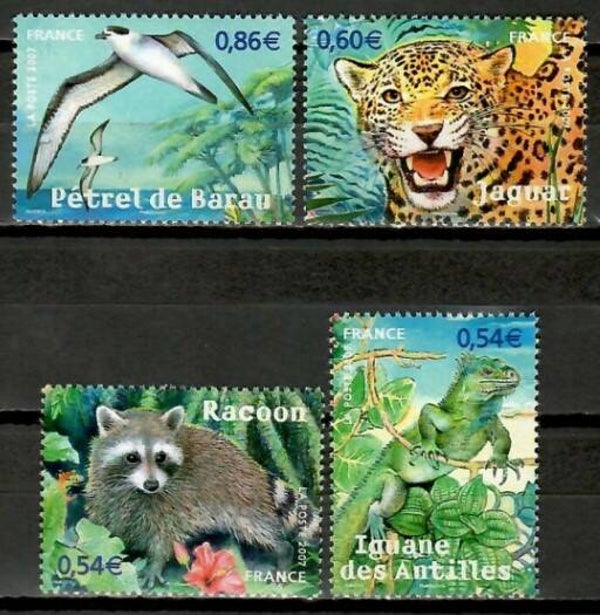 Birds 2007 France serie