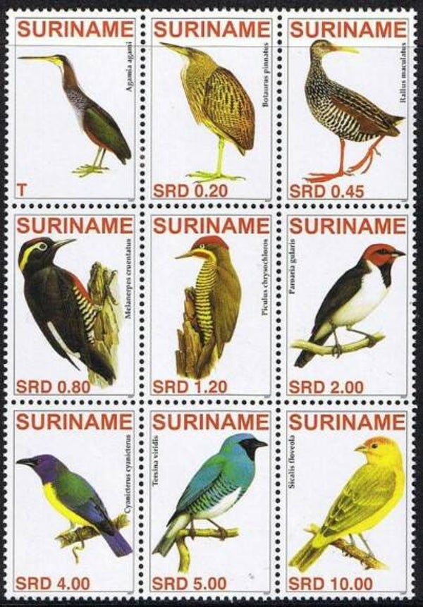 Birds 2007 Surinam serie