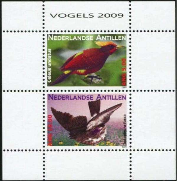 Birds 2009 Netherlands Antilles miniature sheet