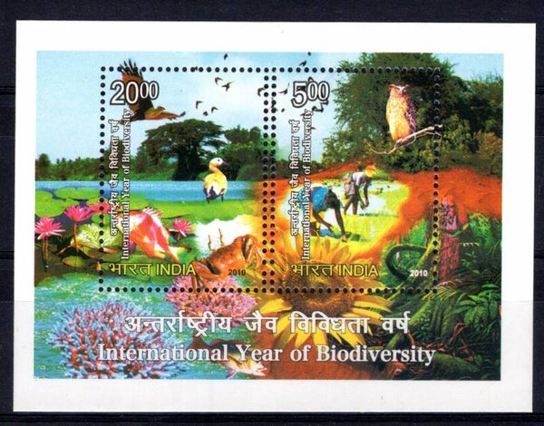 Birds 2010 India miniature sheet