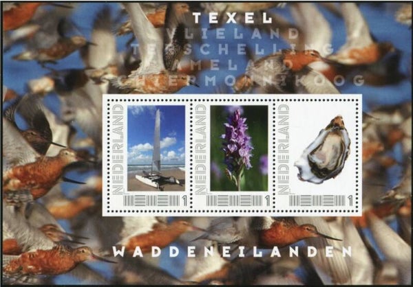 Birds 2011 Netherlands miniature sheet