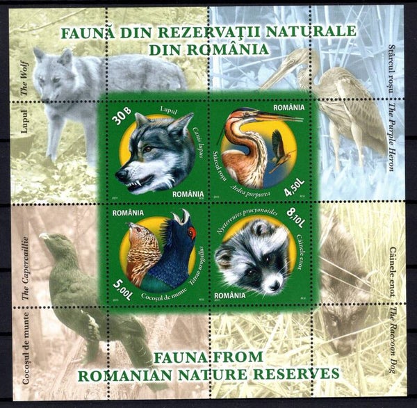 Birds 2011 Romania miniature sheet