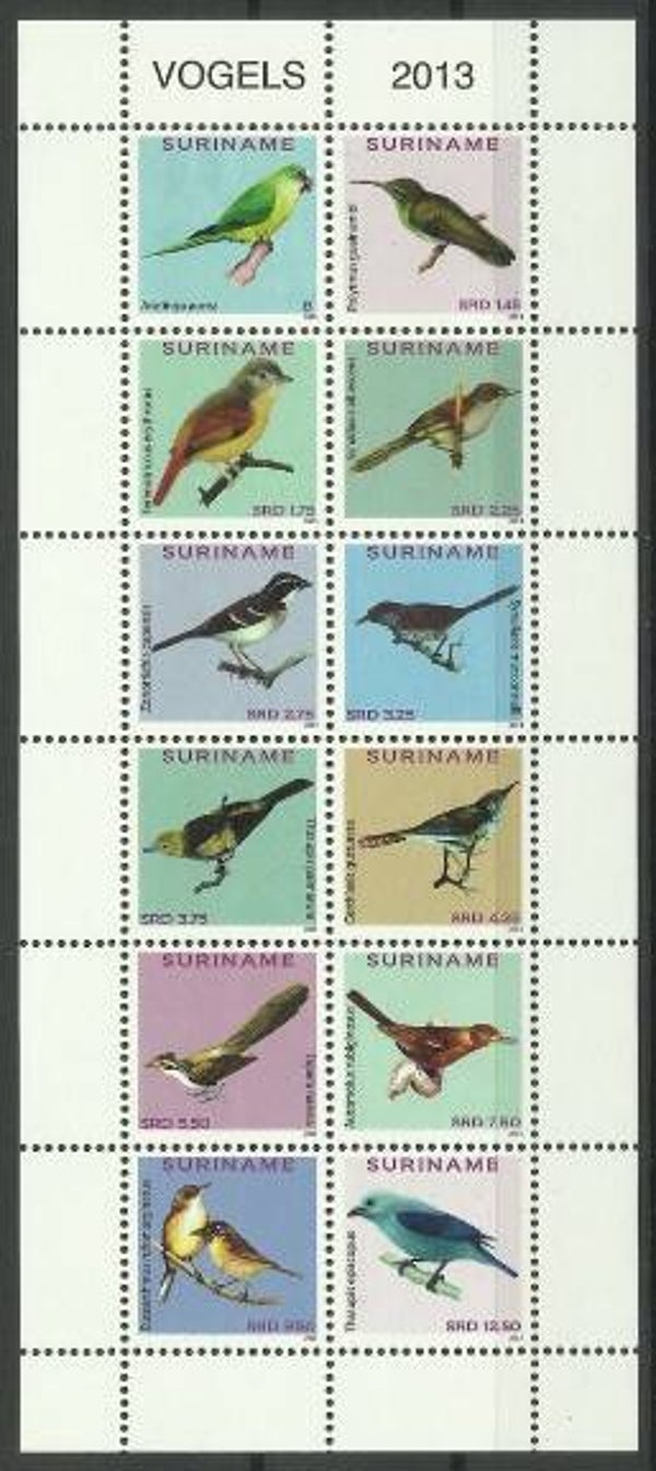 Birds 2013 Surinam serie