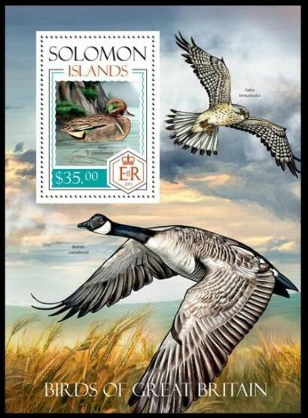 Birds 2014 Solomon Islands block