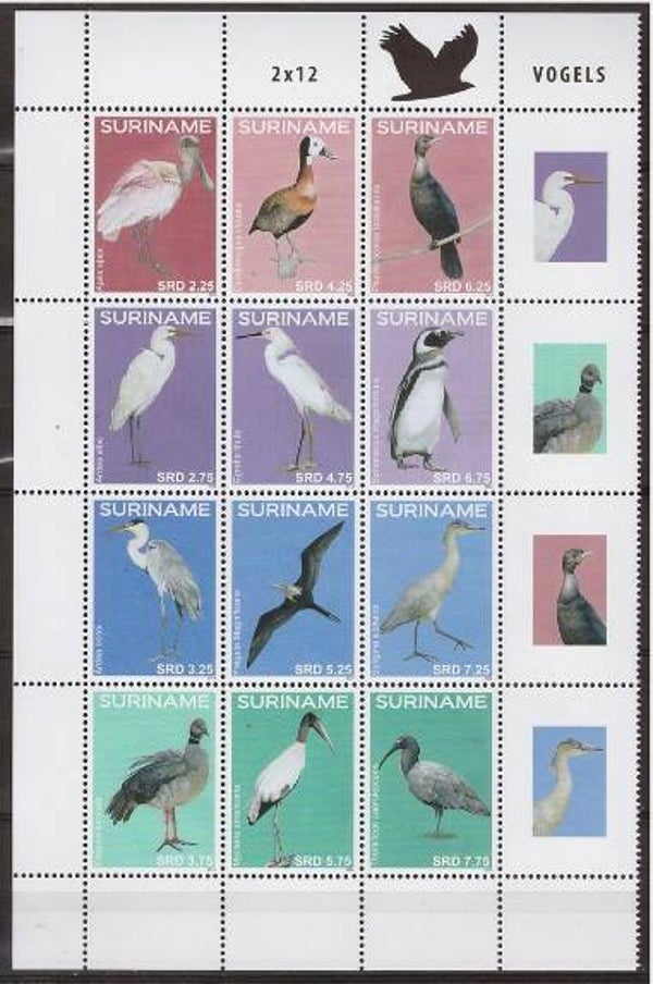 Birds 2016 Surinam serie 2