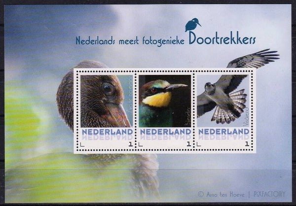 Birds 2017 Netherlands miniature sheet 2