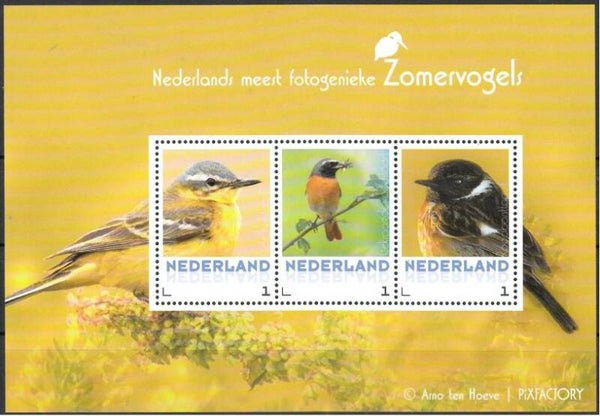 Birds 2017 Netherlands miniature sheet 3