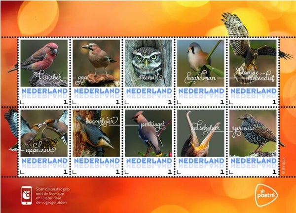 Birds 2017 Netherlands sheet 4