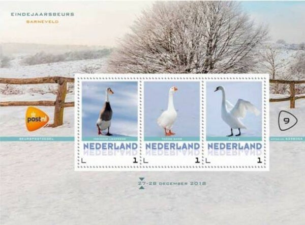 Birds 2018 Netherlands miniature sheet 2