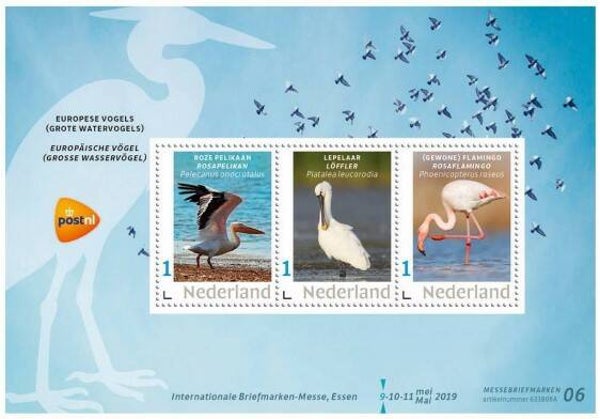 Birds 2019 Netherlands miniature sheet 1