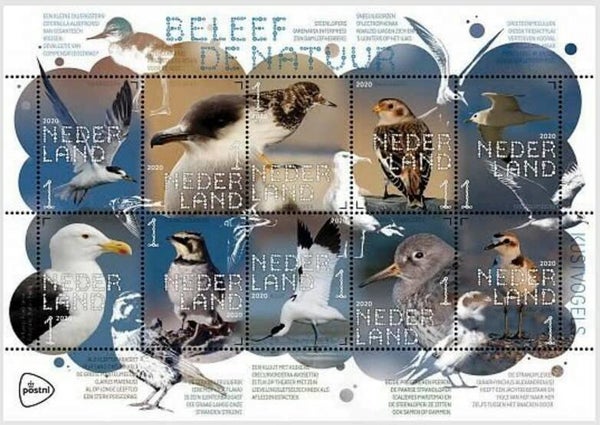 Birds 2020 Netherlands sheet 2