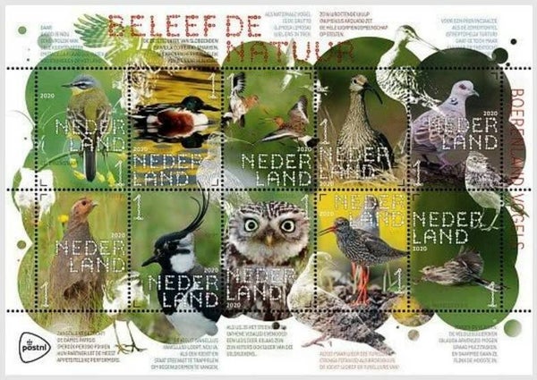 Birds 2020 Netherlands sheet 3