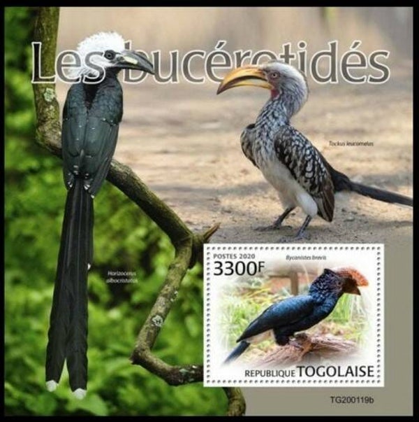 Birds 2020 Togo block