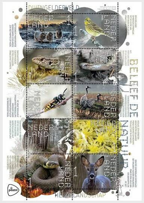 Birds 2021 Netherlands miniature sheet