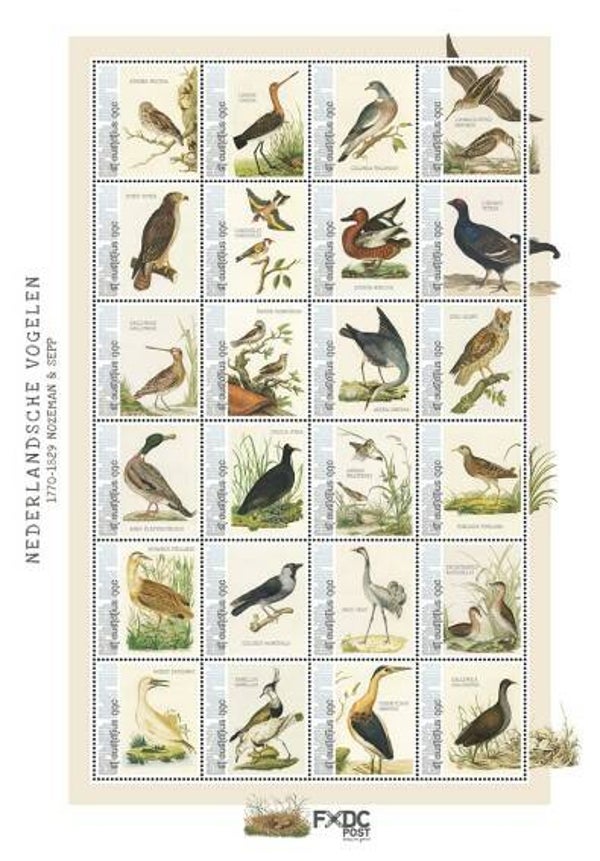 Birds 2021 St Eustatius sheet