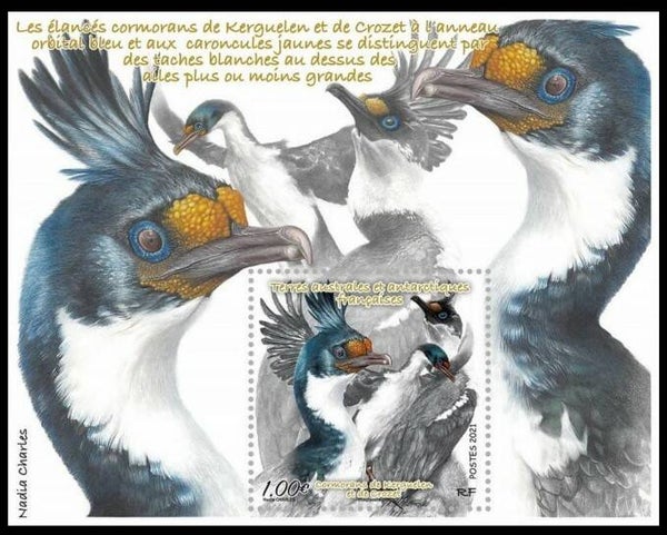 Birds 2021 TAAF block