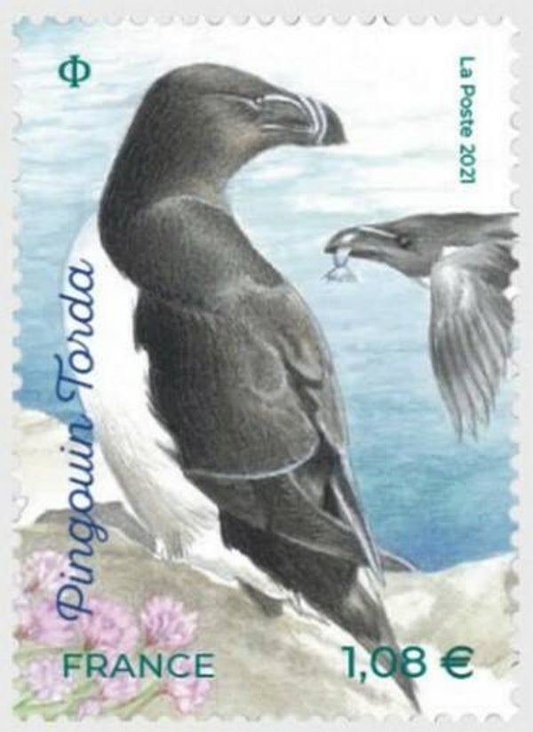 Birds (Alca torda) Razorbill 2021 France stamp