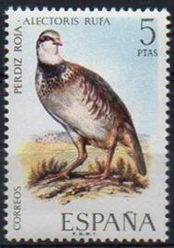 Birds (Alectoris rufa) Red-legged Partridge 1971 Spain stamp