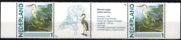 Birds (Ardea cinerea) Grey Heron 2012 Netherlands strip