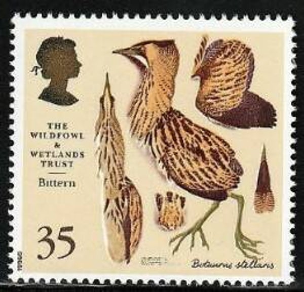 Birds (Botaurus stellaris) Great Bittern 1996 Great Britain stamp