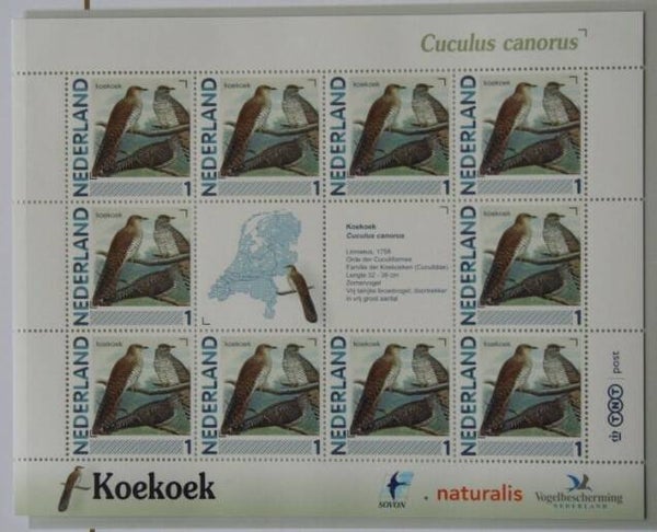 Birds (Cuculus canorus) Common Cuckoo 2012 Netherlands sheet