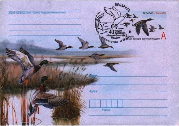 Birds Ducks 2011 Belarus envelope with stempel