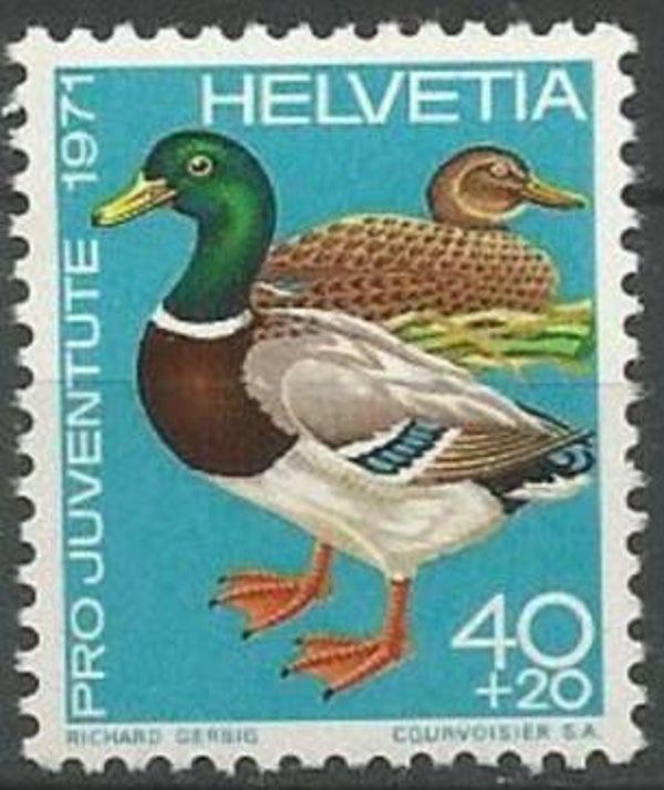 Birds Ducks (Anas platyrhynchos) Mallard 1971 Switzerland stamp