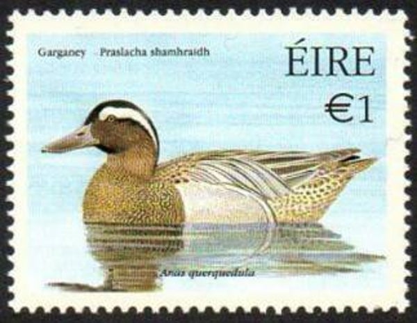 Birds Ducks (Spatula querquedula) Garganey 2004 Ireland stamp