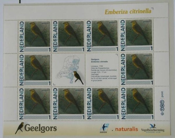 Birds (Emberiza citrinella) Yellowhammer 2012 Netherlands sheet