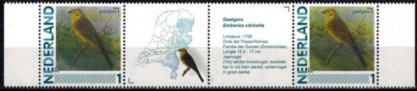 Birds (Emberiza citrinella) Yellowhammer 2012 Netherlands strip