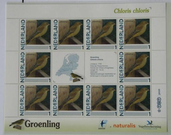 Birds Finches (Chloris chloris) Greenfinch 2012 Netherlands sheet