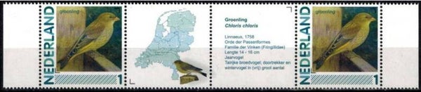 Birds Finches (Chloris chloris) Greenfinch 2012 Netherlands strip