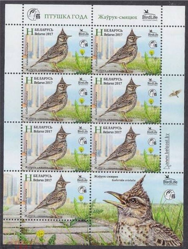 Birds (Galerida cristata) Crested Lark 2017 Belarus miniature sheet