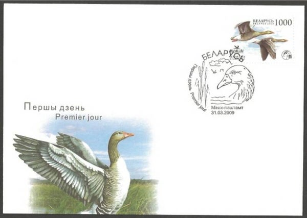 Birds Geese (Anser anser) Greylag Goose 2009 Belarus FDC