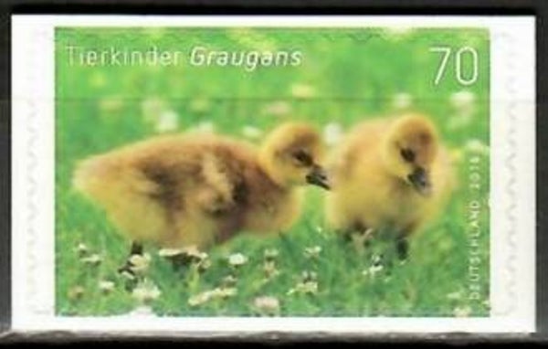 Birds Geese (Anser anser) Greylag Goose 2016 Germany stamp self adhesive