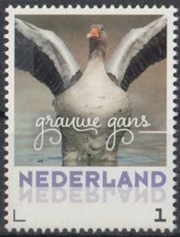 Birds Geese (Anser anser) Greylag Goose 2017 Netherlands stamp