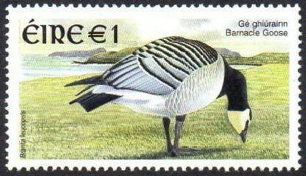 Birds Geese (Branta leucopsis) Barnacle Goose 2002 Ireland stamp