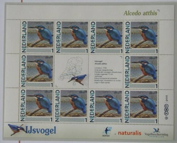 Birds Kingfishers (Alcedo atthis) Eurasian Kingfisher 2012 Netherlands sheet