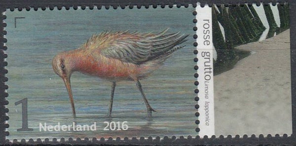Birds (Limosa lapponica) Bar-tailed Godwit 2016 Netherlands stamp