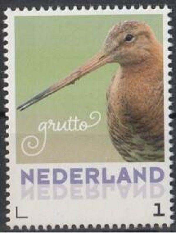 Birds (Limosa limosa) Black-tailed Godwit 2017 Netherlands stamp