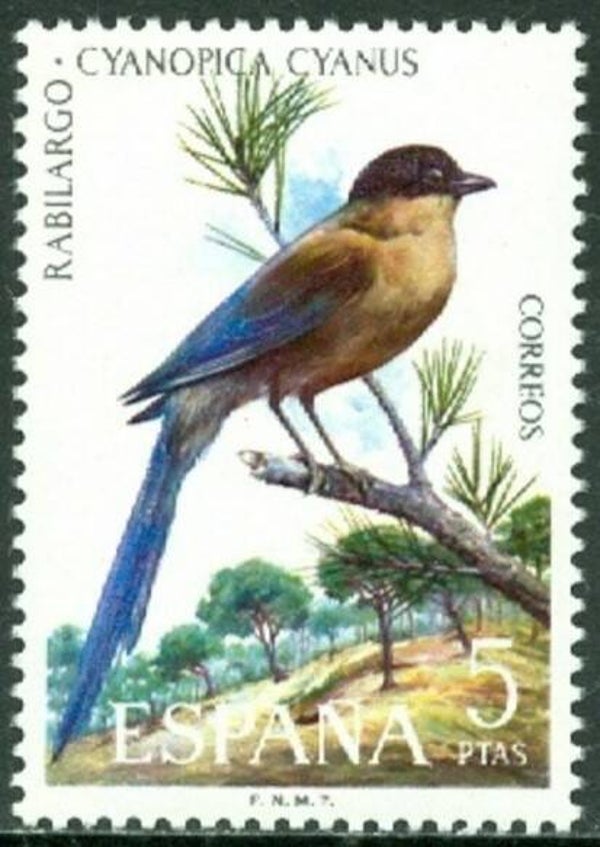 Birds Magpies (Cyanopica cyanus) Azure-winged Magpie 1973 Spain stamp